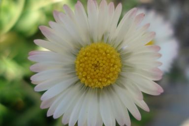 sich selbst lieben, silke müller-jatzwauk, audio-shop